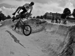 Prowanted 2011 | #3923