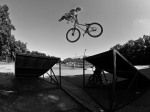 Prowanted 2011 | #3935