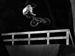 Prowanted 2011 | #3940