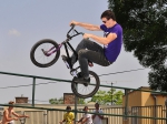 Prowanted 2011 | #3941