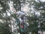 Chill And Ride 5 | #5522