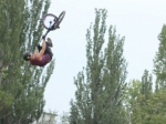 BBF 2013 | #6624