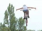 BBF 2013 | #6625