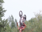 BBF 2013 | #6630