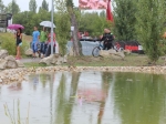 BBF 2013 | #6653