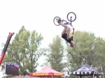 BBF 2013 | #6668