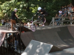 Chill And Ride 7 | #7529