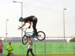 GDL - 2015 | #8285