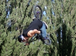 Zugló BMX & Roller Jam 2015 | #8441