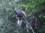 Hermina Bringapark DIRT Pumptrack Jam | #8604