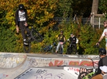 Kings of Hütteldorf | #9075