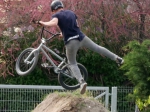 Tailorland contest | #9154