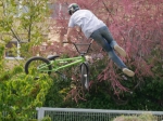 Tailorland contest | #9155