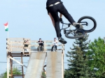 Tailorland contest | #9174