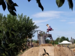 Dead Diamond Trails Jam - 2017 | #9210