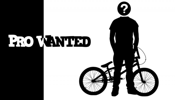 Pro Wanted