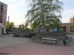 nemgal