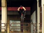 nemgal