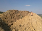 nemgal