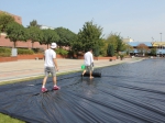 nemgal