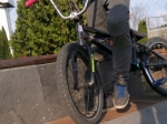 nemgal