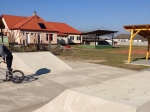 nemgal